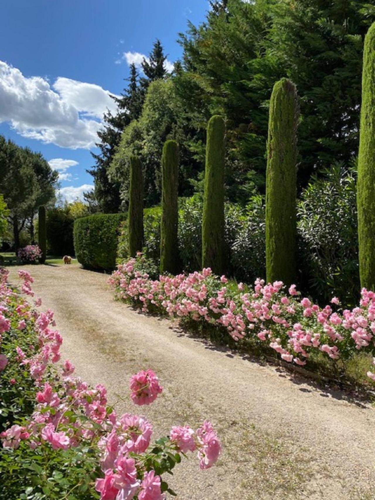 Mas La Pauline Gites De Charme & Roulotte Saint-Remy-de-Provence Room photo