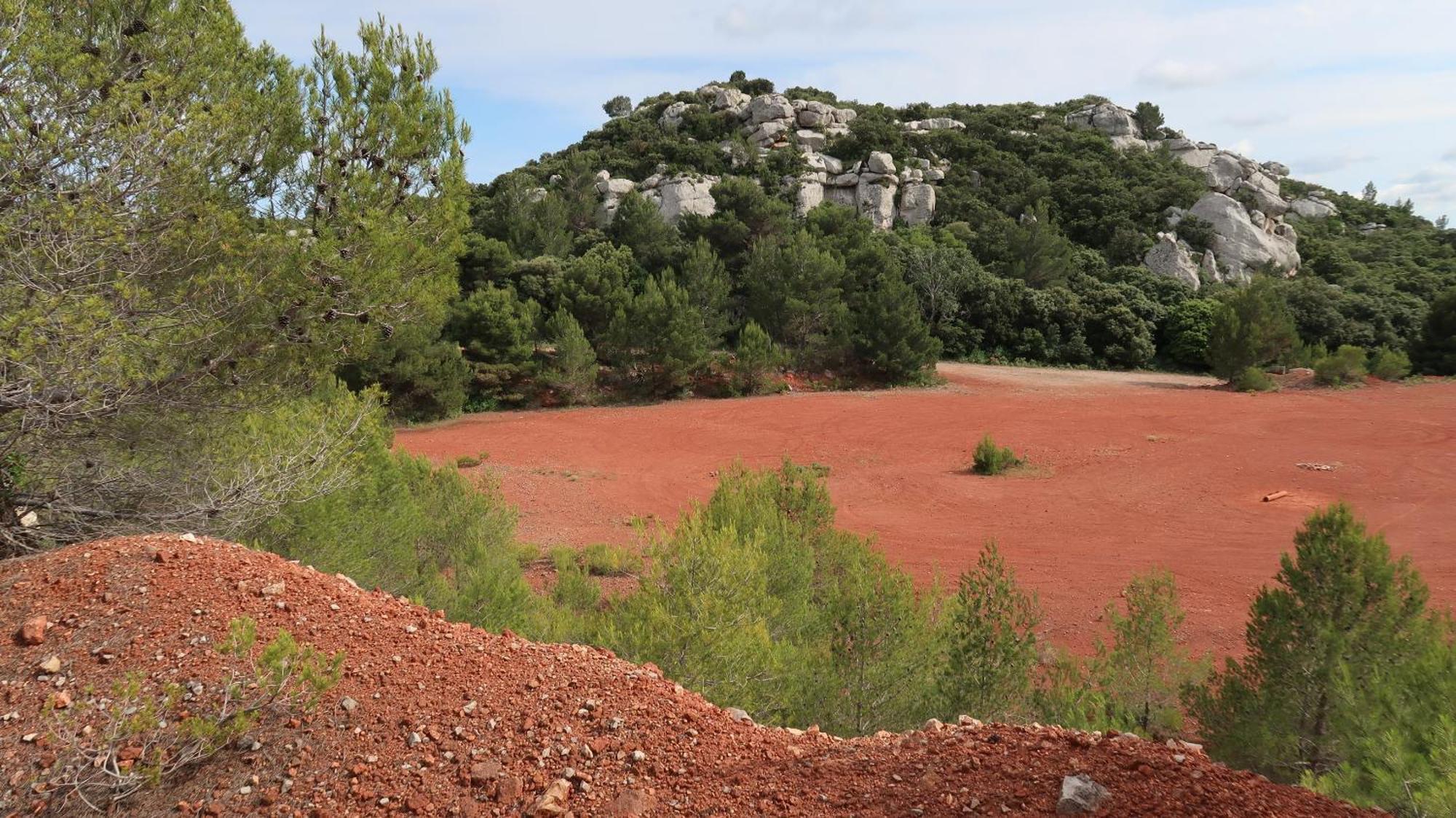 Mas La Pauline Gites De Charme & Roulotte Saint-Remy-de-Provence Exterior photo