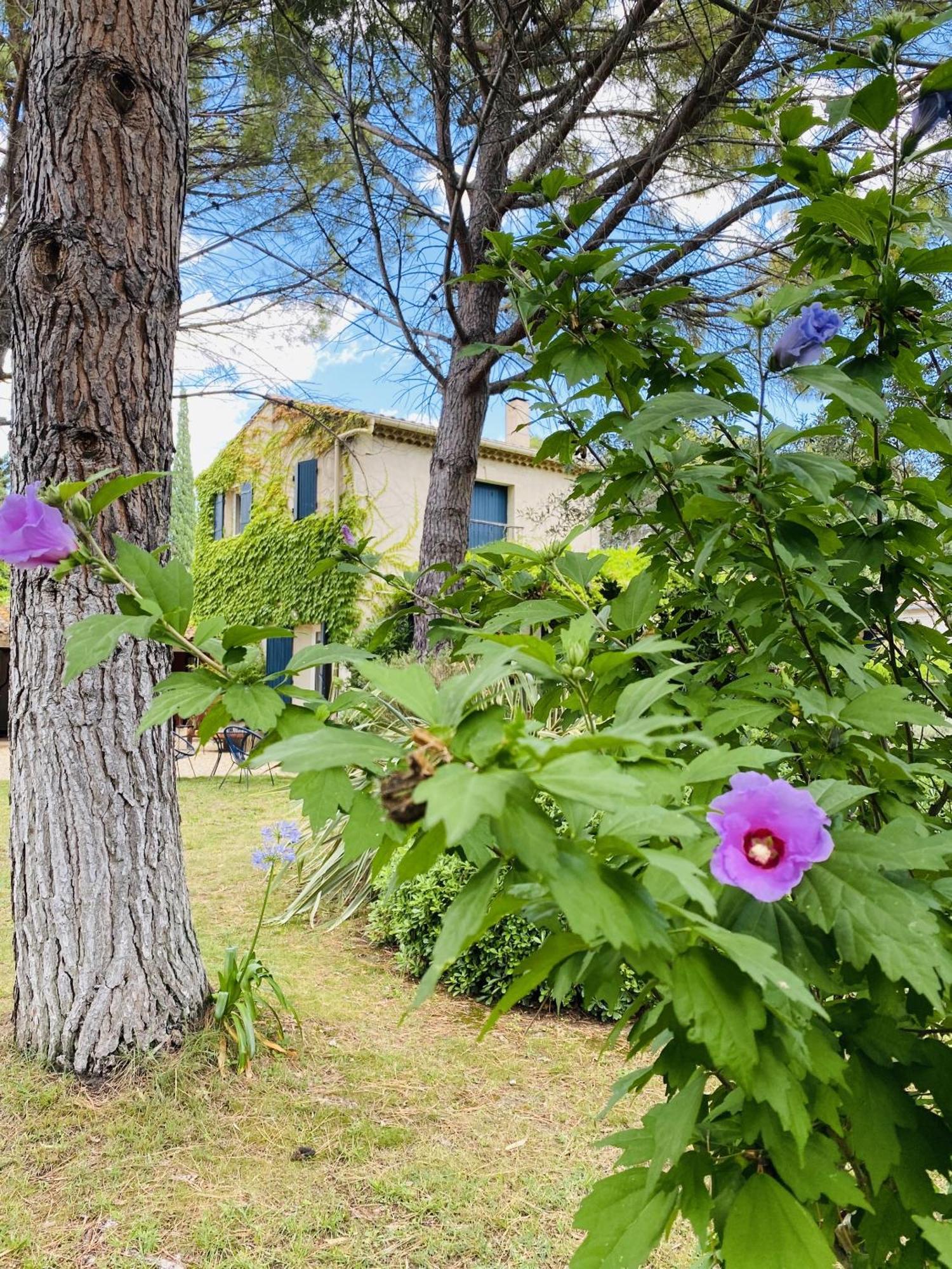 Mas La Pauline Gites De Charme & Roulotte Saint-Remy-de-Provence Exterior photo